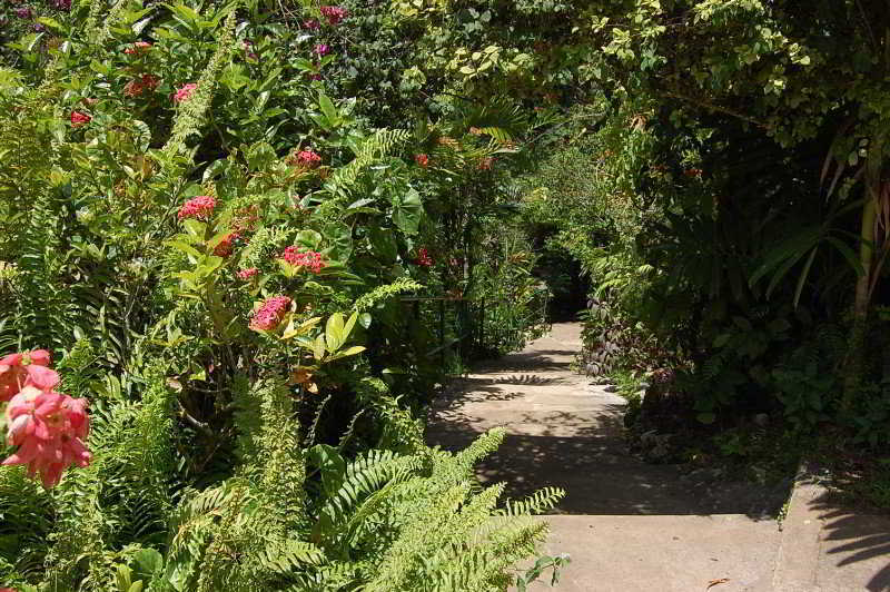 Inn At Shaw Park Gardens & Waterfalls أوشو ريوس المظهر الخارجي الصورة